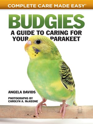 cover image of Budgies